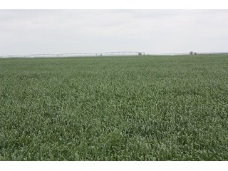 Property photo 56 - LAND AUCTION, 3255+/- Acres offered in 13 Tracts